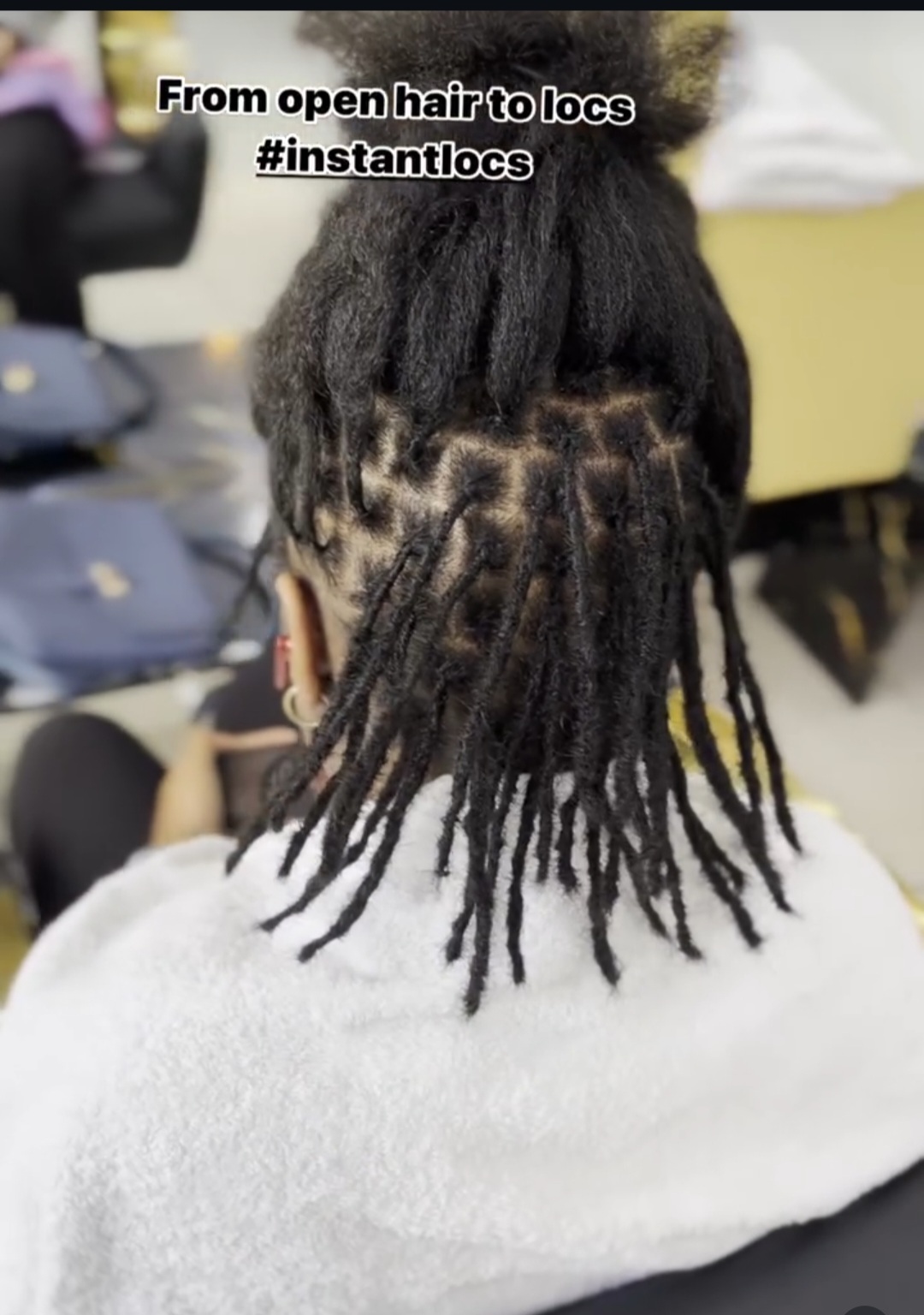 Starter Locs