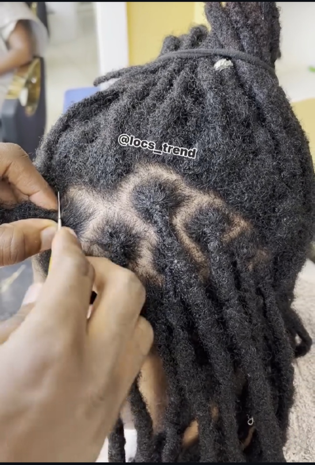 Starter Locs